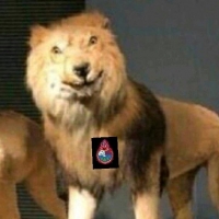 La historia de los 11 leones de Cardozo